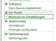 domainfactory-nameserver-einstellungen