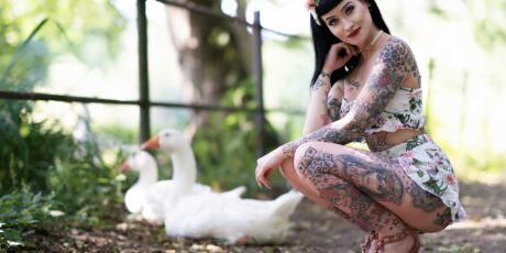 Neues VX-CASH Titelbild mit ★ WildCatInk ★ Neues VX-CASH Titelbild mit ★ WildCatInk ★