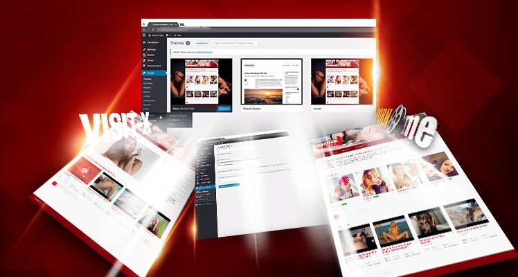 VX-CASH Theme and WordPress 5.6